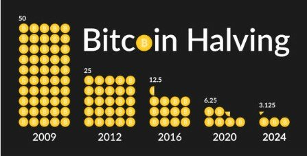 bitcoin halving