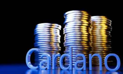 Cardano Cryptocurrency in Hindi