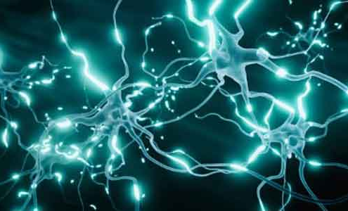 Neural Network in Hindi